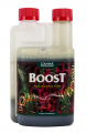 CANNA Boost Accelerator 500ml